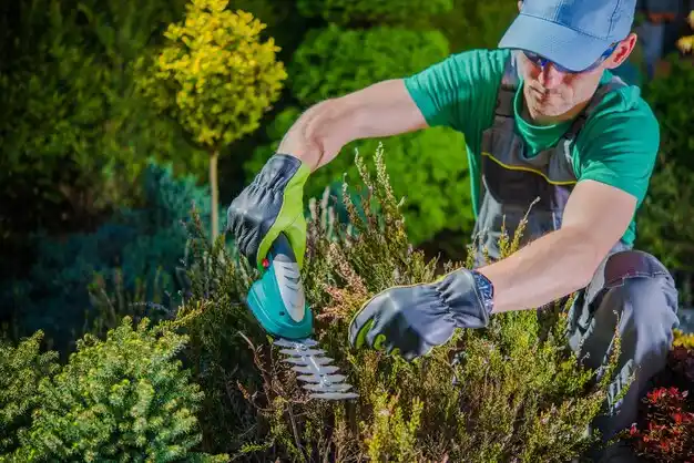 landscaping services Franklin Square
